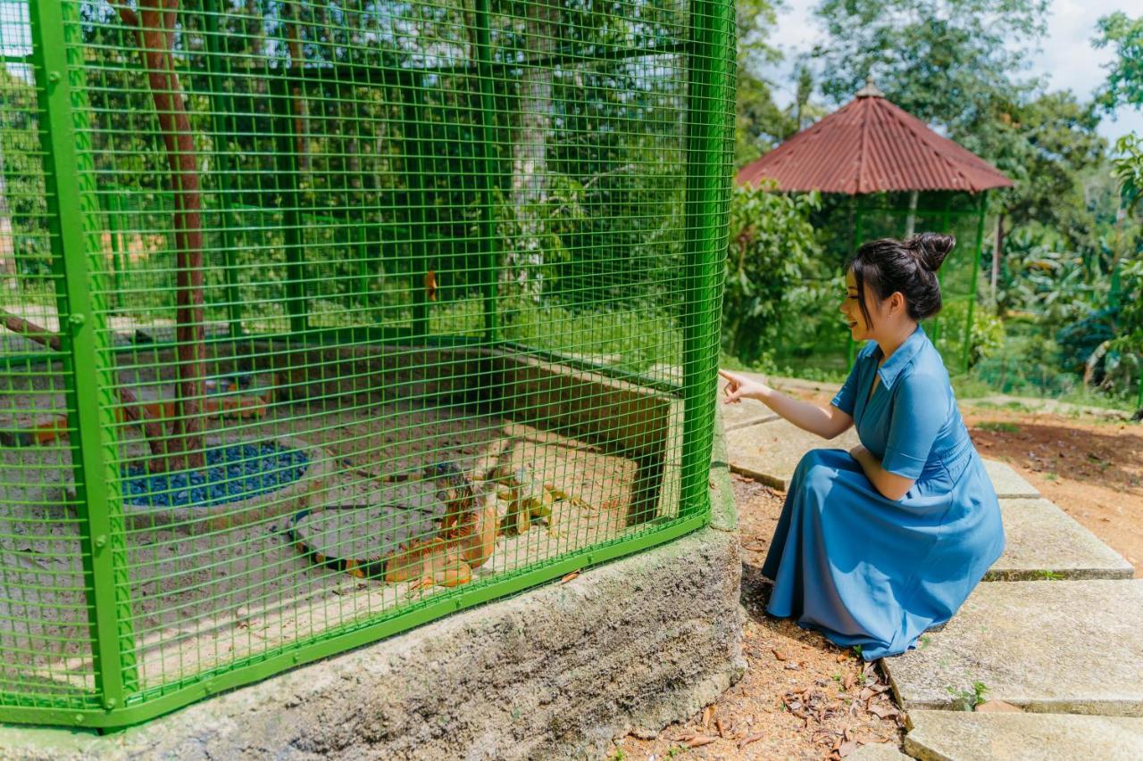 De Bintan Villa Tenaga Экстерьер фото